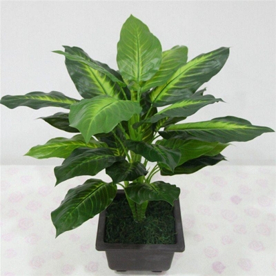 Green Artificial Dieffenbachia Plant - 50cm Height - Plastic Leaf - Modern Home Decor
