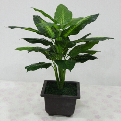 Green Artificial Dieffenbachia Plant - 50cm Height - Plastic Leaf - Modern Home Decor