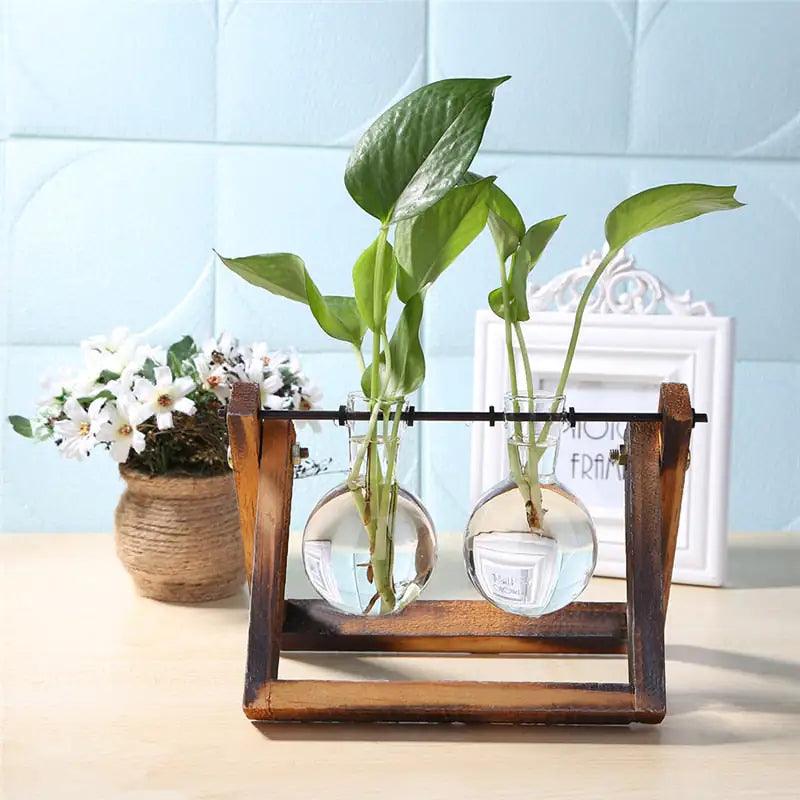 Glass and Wood Vase Planter for Tabletop Decor | Modern Desk Decoration