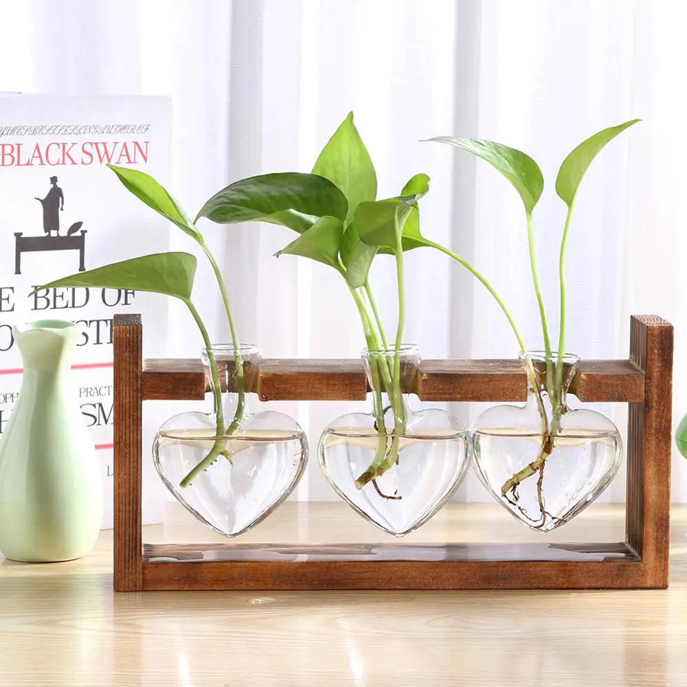 Glass and Wood Vase Planter for Tabletop Decor | Modern Desk Decoration