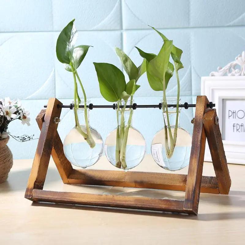 Glass bulb vases in a brown wooden stand with green cuttings