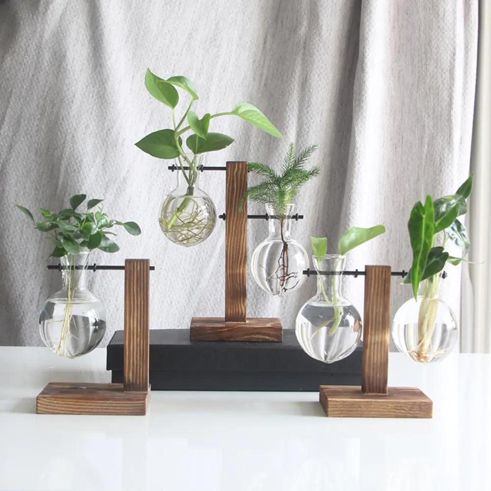 Glass and Wood Vase Planter for Tabletop Decor | Modern Desk Decoration