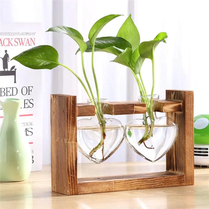 Glass and Wood Vase Planter for Tabletop Decor | Modern Desk Decoration